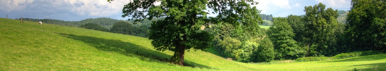 clouds-farmland-field-53435 Green Agenda