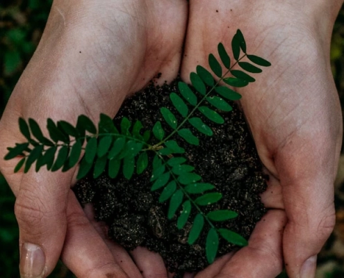 Environment & Biodiversity