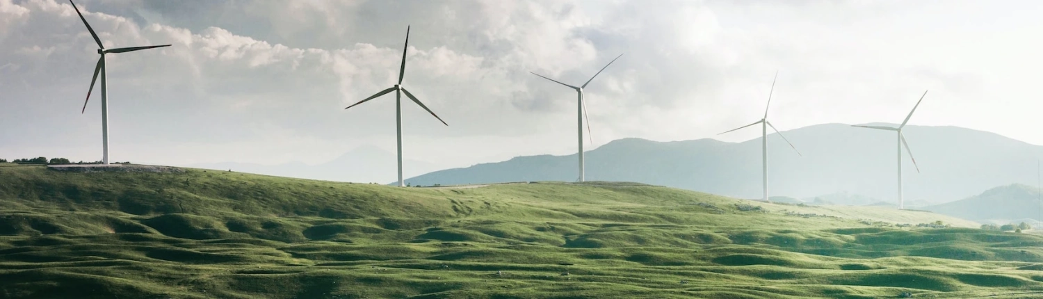 environment-3 Environment & Biodiversity - Wind Turbines